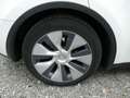 Tesla Model Y STANDAR RwD 275 Ch Blanc - thumbnail 7