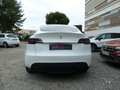 Tesla Model Y STANDAR RwD 275 Ch Blanc - thumbnail 6