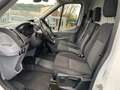 Ford Transit 350 L3 H2 Trend 4x4 Allrad !-AHK-R.Kamera-Assisten Blanc - thumbnail 14