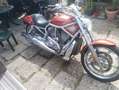 Harley-Davidson VRSC V-Rod VRSCA Vrod Orange - thumbnail 5