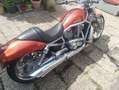 Harley-Davidson VRSC V-Rod VRSCA Vrod Orange - thumbnail 9
