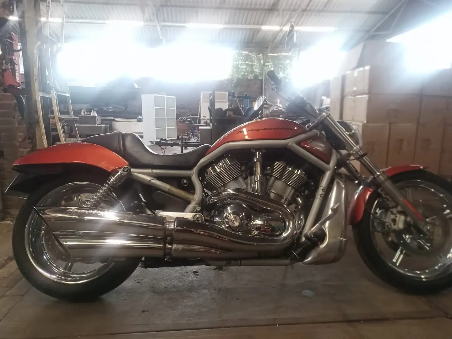 Harley-Davidson VRSC V-Rod VRSCA Vrod Orange - 1
