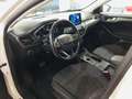 Ford Focus Active 1.5 Ecoblue 1.5 120CV Auto Beige - thumbnail 7