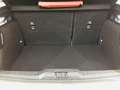 Ford Focus Active 1.5 Ecoblue 1.5 120CV Auto Beige - thumbnail 15
