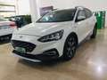 Ford Focus Active 1.5 Ecoblue 1.5 120CV Auto Beige - thumbnail 1