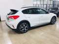 Ford Focus Active 1.5 Ecoblue 1.5 120CV Auto Beige - thumbnail 4