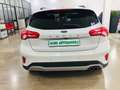 Ford Focus Active 1.5 Ecoblue 1.5 120CV Auto Beige - thumbnail 3