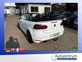 Volkswagen Golf VI 1.4 TSI Lounge Cabriolet *AHK*NAVI* Weiß - thumbnail 6