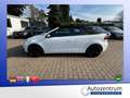 Volkswagen Golf VI 1.4 TSI Lounge Cabriolet *AHK*NAVI* Blanc - thumbnail 19