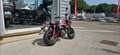 Honda Monkey 125 - thumbnail 5