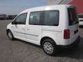 Volkswagen Caddy Caddy Kombi Austria 2,0 TDI Austria Weiß - thumbnail 3