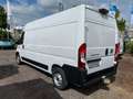 Fiat Ducato Kawa 35 L3H2 140 MJTD, NAVI, Kamera, AHK Blanc - thumbnail 6