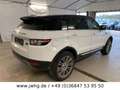 Land Rover Range Rover Evoque Prestige Panorama Kamera Xen Weiß - thumbnail 5