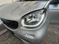smart forFour Passion  Navi  R-Kamera Plateado - thumbnail 11