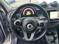 smart forFour Passion  Navi  R-Kamera Plateado - thumbnail 8