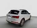 Audi Q5 TFSI e advanced qu S tr Matrix HUD Pano AHK 20 Weiß - thumbnail 3