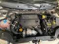 Fiat Panda Panda II 2003 1.3 mjt 16v Climbing 4x4 75cv Bianco - thumbnail 8
