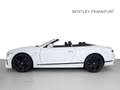 Bentley Continental GTC Speed First Edition (MY25) Hybrid Weiß - thumbnail 4