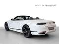 Bentley Continental GTC Speed First Edition (MY25) Hybrid Weiß - thumbnail 6