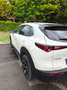 Mazda CX-30 CX-30 2.0 m-hybrid  Nagisa Design 150cv 6mt - thumbnail 2