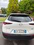Mazda CX-30 CX-30 2.0 m-hybrid  Nagisa Design 150cv 6mt - thumbnail 1