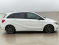 Mercedes-Benz B 200 B 200*ILS-Xenon*7G Tronic*SHZ*TMP*Sport Paket*ED1 Weiß - thumbnail 6
