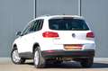 Volkswagen Tiguan 2,0 TDI 4Mo Sky DSG *AHV*NAVI*Garantie* Wit - thumbnail 4