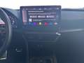 CUPRA Formentor 2.0 TSI DSG 4Drive VZ VIRTUAL*NAVI*LED*ACC*PARK... Gris - thumbnail 14