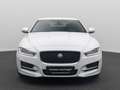 Jaguar XE R-Sport FahrAssist Navi Sound Komfort 19Zoll Blanc - thumbnail 2