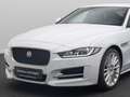 Jaguar XE R-Sport FahrAssist Navi Sound Komfort 19Zoll Weiß - thumbnail 16