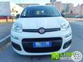 Fiat Panda 1.0 FireFly S&S Hybrid City Life Wit - thumbnail 9