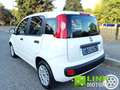 Fiat Panda 1.0 FireFly S&S Hybrid City Life Wit - thumbnail 2