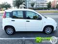 Fiat Panda 1.0 FireFly S&S Hybrid City Life Wit - thumbnail 3