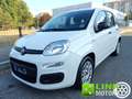 Fiat Panda 1.0 FireFly S&S Hybrid City Life Wit - thumbnail 7
