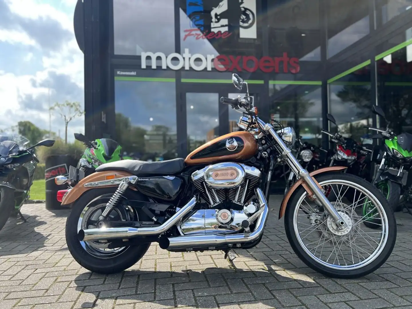 Harley-Davidson XL 1200 1200C SPORTSTER 1200 CUSTOM - 1