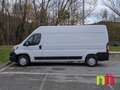 Fiat Ducato Fg. 33 2.3Mjt L3 H2 140CV Blanco - thumbnail 7