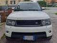 Land Rover Range Rover Sport Range Rover Sport I 2010 3.6 tdV8 HSE auto Bianco - thumbnail 6