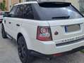 Land Rover Range Rover Sport Range Rover Sport I 2010 3.6 tdV8 HSE auto Bianco - thumbnail 8