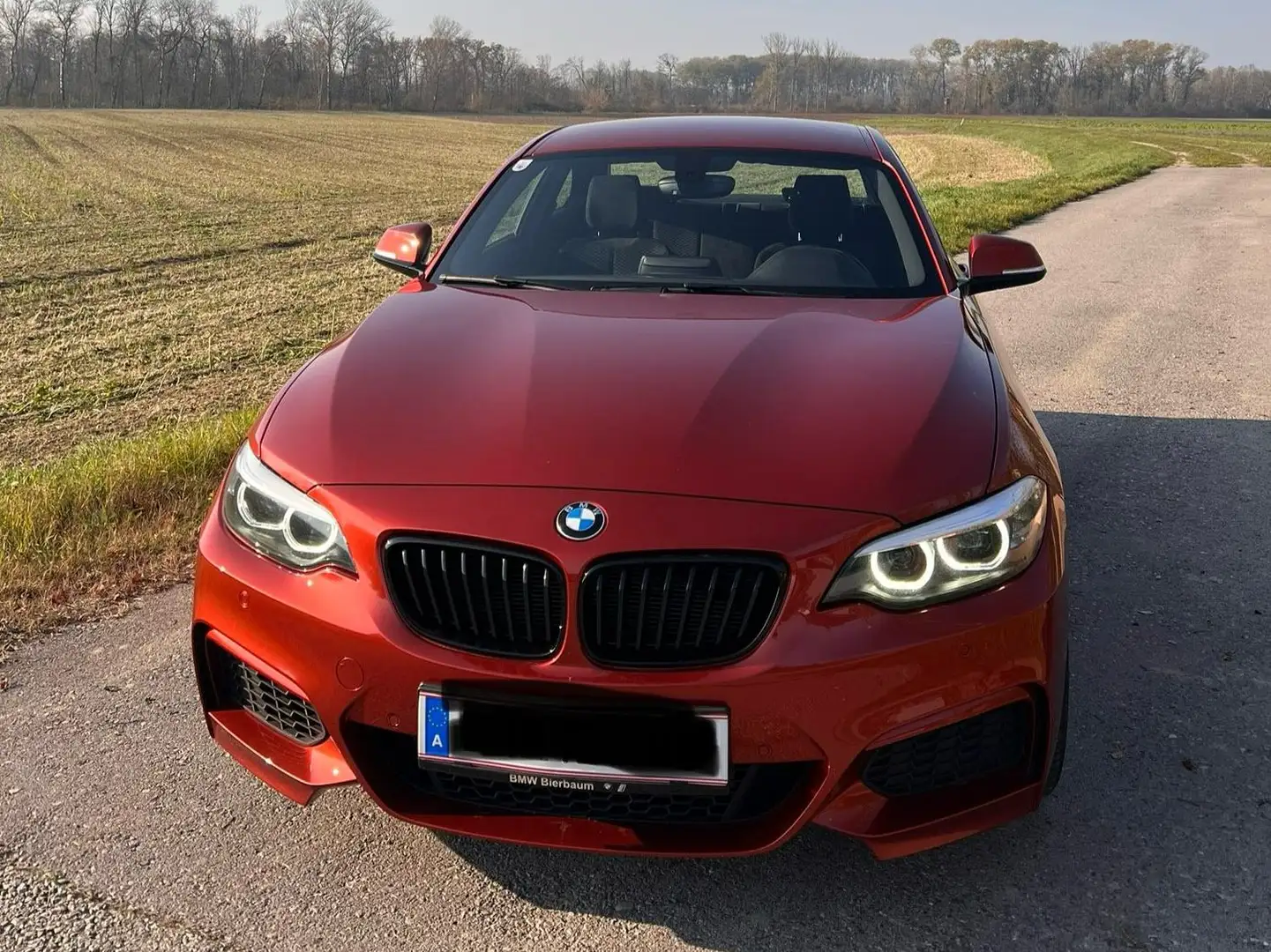 BMW 218 218i+Coupé Orange - 1