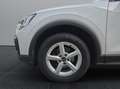 Audi Q2 35 TFSI LED NAVI s-tronic Blanco - thumbnail 17