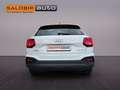 Audi Q2 35 TFSI LED NAVI s-tronic Blanco - thumbnail 3