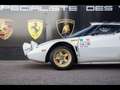 Lancia Stratos HF3000 Hawk V6 3.0l 12V QV - 200ch Bianco - thumbnail 24