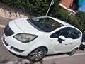 Opel Meriva Meriva 1.4 Advance (elective) 100cv Bianco - thumbnail 2