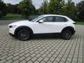 Mazda CX-30 SKYACTIV-G 2.0 150PS M Hybrid Selection Automatik Weiß - thumbnail 3