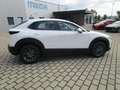Mazda CX-30 SKYACTIV-G 2.0 150PS M Hybrid Selection Automatik Weiß - thumbnail 6
