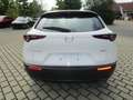 Mazda CX-30 SKYACTIV-G 2.0 150PS M Hybrid Selection Automatik Weiß - thumbnail 5