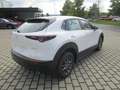 Mazda CX-30 SKYACTIV-G 2.0 150PS M Hybrid Selection Automatik Weiß - thumbnail 8