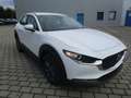 Mazda CX-30 SKYACTIV-G 2.0 150PS M Hybrid Selection Automatik Weiß - thumbnail 7