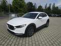 Mazda CX-30 SKYACTIV-G 2.0 150PS M Hybrid Selection Automatik Weiß - thumbnail 1