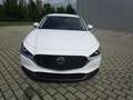 Mazda CX-30 SKYACTIV-G 2.0 150PS M Hybrid Selection Automatik Weiß - thumbnail 2